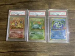ポケカ　psa10 25th 御三家　3連番　リザードン　フシギバナ　カメックス