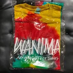 WANIMA Tシャツ タイダイ