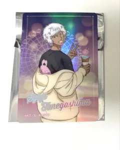 テニプリ　テニスの王子様　コスモワールド　種ヶ島　修二　オーロラクリアカード
