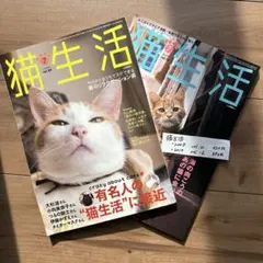 Item thumbnail for item 2bb5c937-3b55-4121-ba54-0744d2cb498e