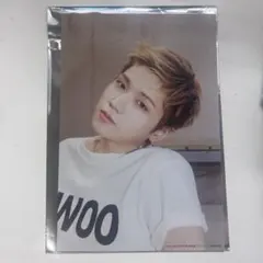 boynextdoor vivi リウ ポストカード ボネクド