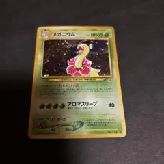 2026年最新】ポケモンカード 旧裏面 メガニウムの人気アイテム - メルカリ