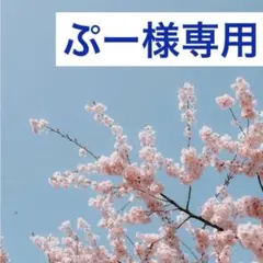 ぷー様専用ページ