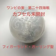 ぐっさん様 リクエスト 2点 まとめ商品