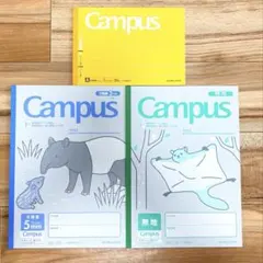 キャンパスノート　3枚セットのサムネイル