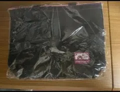 Item thumbnail for item f79cdfbb-713a-48cf-b987-b798661fb057