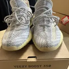 adidas イージーブースト350 v2 static