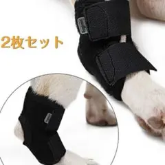 Item thumbnail for item 0310226c-8bd6-45b9-b029-f4a41f66e795