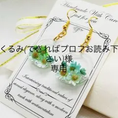 くるみ(できればプロフお読みください)様 リクエスト 2点 まとめ商品