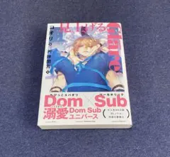 N様 リクエスト 2点 まとめ商品