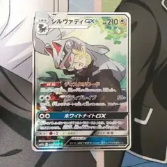 シルヴァデイGX SA