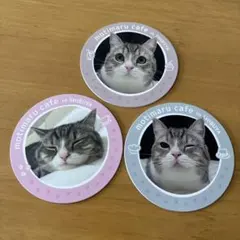 もちまる コースターのサムネイル