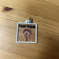 Item thumbnail for item f1a93623-424b-4d86-81a7-76b474b74c40