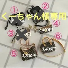 くーちゃん様専用