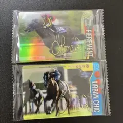 バンダイ競馬ウエハース　フィエールマン・アーバンシック