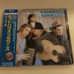 ザ・ハイロウズ DVD「that summer feeling」 - メルカリ