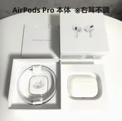 AirPods Pro 本体