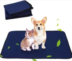 Item thumbnail for item 5bbcd3bf-6396-4693-b554-8d1ff64c9034