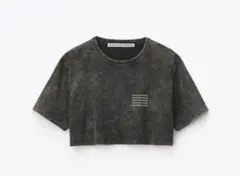 アレキサンダーワン アシッドウォッシュジャージー クロップtシャツ S