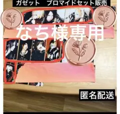 なち様専用　ガゼットブロマイド