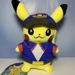ポケモンセンターオリジナル 日本橋限定 ゲッコウガピカチュウ - メルカリ