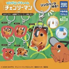 チェンソーマン ポチタ　チェーンリングキーホルダー　B.C.D
