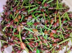 秋田県産 山菜みずの実300g ミズコブ - メルカリ