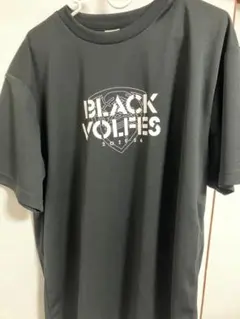 熊本ヴォルターズ　Tシャツ 2枚セット