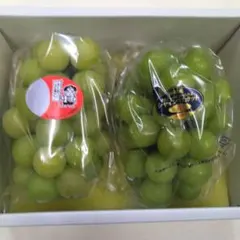 注文順収穫！自然肥料のみ！こだわりの清水白桃 - メルカリ