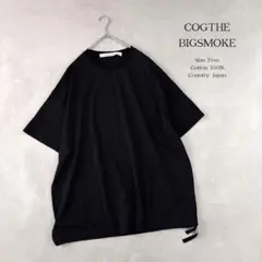 Item thumbnail for item 0154d043-8acf-482c-a73d-1d6c4784466d