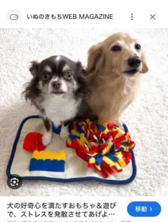 いぬのきもち　犬用品と本誌4冊と付録の本8冊のサムネイル