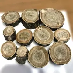 Item thumbnail for item 8c4c9521-00e8-4cac-a596-abc18d3a3a1f