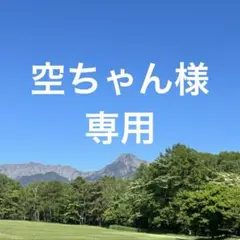 空ちゃん様専用ページ