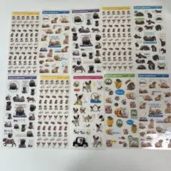 Item thumbnail for item 47664fdb-3420-4a6c-bbf1-22b4e514079b