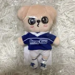 新品未開封 StrayKids スキズ パピーム バッグチャーム ポップアップ