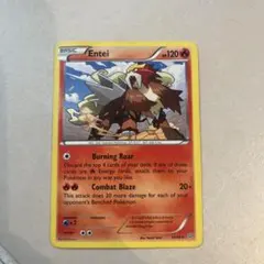 ポケモンカード Entei 14/98 英語版
