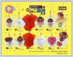 おさわり探偵なめこ栽培キット なめこ吸盤ますこっと なめきゅう2 10個セット