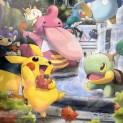 ポケモン クリアファイル ウールー ポケパークカントー 202603101822