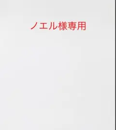 ノエル様専用