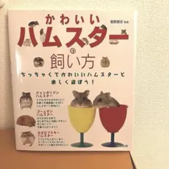 Item thumbnail for item 4a400849-2c60-4657-bc23-1d8e29946773