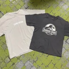 Item thumbnail for item 54cd14c7-d80f-4292-8f45-5f33529cba74