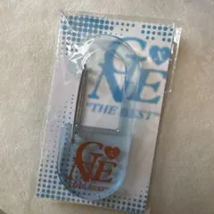 GENERATIONS THE BEST カラビナ キーホルダー 長野限定