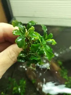 断捨離中〔プロフ必読〕様 リクエスト 2点 まとめ商品