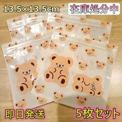 17 韓国 チャック袋 5枚セット ジプロックタイプ ラッピング袋 ジュエリー袋