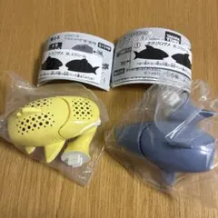 ぱくもぐ！サメジャー　〜宿敵！シャチがやってきた〜　ホホジロザメ　トラフザメ