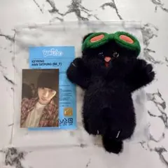 BOYNEXTDOOR テサン トレカ ぬいぐるみ まとめ売り BOYNEXTDOOR テサン HAN TATPUNG テップン ぬいぐるみ
