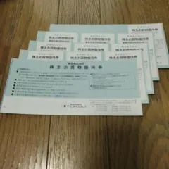 【匿名配送】東急百貨店 株主お買物優待券10枚