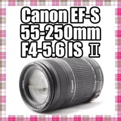 ❤️運動会で大活躍❤️Canon 55-250mm IS 望遠レンズ❤️手ぶれ補正 手ぶれ補正機能！望遠レンズ☆キヤノンEF-M 55-200mm