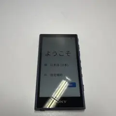 お*ん様 SONY NW-A307 64GB フィルム・SanDisk SD25 お*ん様 SONY NW-A307 64GB フィルム・SanDisk SD25 - メルカリ