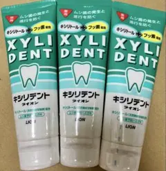 라이온 실리던트 약용 치약 120g x 3팩 자일리톨+불소